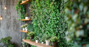 Comment créer un mur végétal artificiel d’intérieur pour une touche de verdure sans entretien ? Comment créer un mur végétal artificiel d'intérieur pour une touche de verdure sans entretien ?