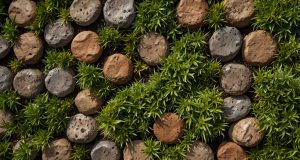 Quel revêtement choisir pour placer sous une piscine hors sol ? Quel revêtement choisir pour placer sous une piscine hors sol ?