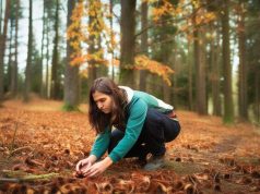 Ramassage des châtaignes : les erreurs coûteuses à éviter Ramassage des châtaignes : les erreurs coûteuses à éviter