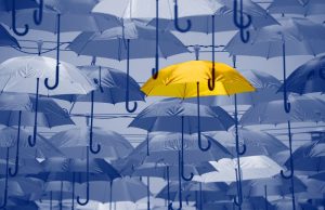 Assurances : les manadiers innovent pour surmonter leurs difficultés découvrez comment les manadiers innovent dans le secteur des assurances pour surmonter les défis actuels et protéger efficacement leur activité.