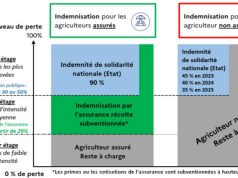 Comment surmonter les obstacles de la réforme de l’assurance récolte ? découvrez comment surmonter les obstacles liés à la réforme de l'assurance récolte pour protéger efficacement vos cultures et sécuriser vos revenus agricoles.