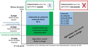 Comment surmonter les obstacles de la réforme de l’assurance récolte ? découvrez comment surmonter les obstacles liés à la réforme de l'assurance récolte pour protéger efficacement vos cultures et sécuriser vos revenus agricoles.