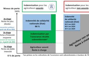 Comment surmonter les obstacles de la réforme de l’assurance récolte ? découvrez comment surmonter les obstacles liés à la réforme de l'assurance récolte pour protéger efficacement vos cultures et sécuriser vos revenus agricoles.