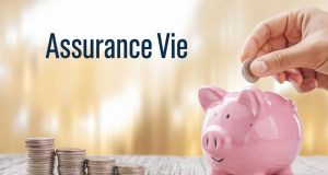 Assurance vie 2025 : comment choisir le contrat à frais réduits qui vous convient vraiment ? découvrez notre assurance vie 2025 avec des frais réduits pour optimiser votre épargne en toute sécurité. profitez d'une solution avantageuse et adaptée à vos besoins.