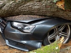 L’IA d’Insurify bouscule le marché de l’assurance tandis qu’Axa subit la plus forte chute du CAC 40 découvrez comment insurify révolutionne le secteur de l'assurance, provoquant une chute significative d'axa au sein du cac40.