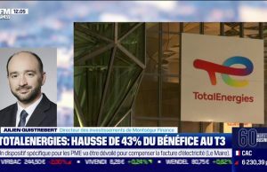 Life Insurance Corp. of India : un bénéfice en hausse au troisième trimestre, mais un BPA en dessous des prévisions life insurance corp. india enregistre une hausse de ses bénéfices au t3 malgré un bénéfice par action décevant, analysant les facteurs clés de cette performance.