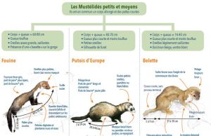 Consultations médicales : les dépassements d’honoraires chez les spécialistes bientôt proscrits ? découvrez les potentielles interdictions des dépassements d’honoraires chez les spécialistes et ce que cela signifie pour vos consultations médicales.