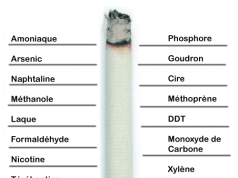 Passer à la cigarette électronique : une étude met en lumière un risque augmenté de maladies découvrez les liens entre cigarette électronique et risques de maladies : informations essentielles pour mieux comprendre les impacts sur la santé.