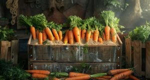 Comment conserver les carottes fraîches plus longtemps ? Comment conserver les carottes fraîches plus longtemps ?