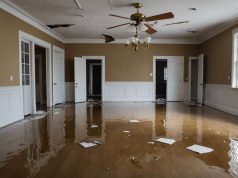 Que faire quand le propriétaire ignore les dégâts des eaux dans votre logement ? Que faire quand le propriétaire ignore les dégâts des eaux dans votre logement ?