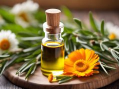 Comment utiliser l’huile essentielle pour soigner un bouton de fièvre efficacement ? Comment utiliser l’huile essentielle pour soigner un bouton de fièvre efficacement ?