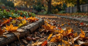 Utilisation des feuilles mortes au jardin : erreurs à éviter Utilisation des feuilles mortes au jardin : erreurs à éviter