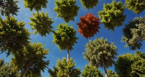 Quels arbres à croissance rapide choisir pour aménager votre jardin rapidement ? Quels arbres à croissance rapide choisir pour aménager votre jardin rapidement ?