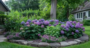 Hortensias : les 24 erreurs à éviter pour un jardin parfait en 2024 Hortensias : les 24 erreurs à éviter pour un jardin parfait en 2024