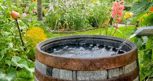 Récupération d’eau de pluie : erreurs à éviter et conseils pour bien l’utiliser Récupération d'eau de pluie : erreurs à éviter et conseils pour bien l'utiliser