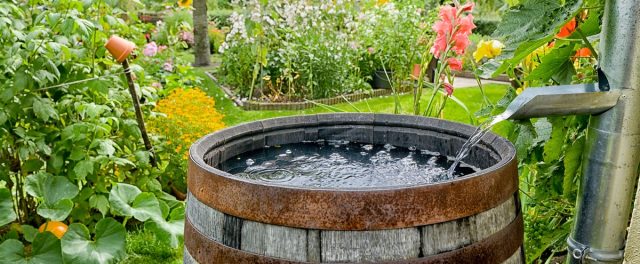 Récupération d'eau de pluie : erreurs à éviter et conseils pour bien l'utiliser