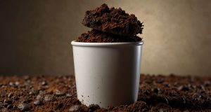 Comment réutiliser le marc de café au quotidien : astuces et bienfaits insoupçonnés ? Comment réutiliser le marc de café au quotidien : astuces et bienfaits insoupçonnés ?