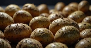 Peut-on encore consommer des pommes de terre germées en toute sécurité ? Peut-on encore consommer des pommes de terre germées en toute sécurité ?