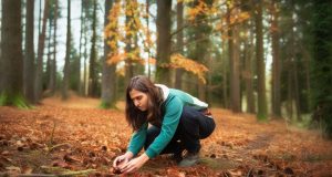 Ramassage des châtaignes : les erreurs coûteuses à éviter Ramassage des châtaignes : les erreurs coûteuses à éviter
