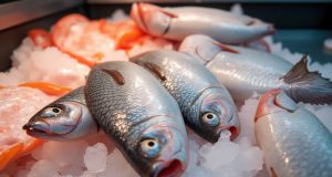 Découvrez tout sur le cabillaud : guide complet et astuces culinaires Découvrez tout sur le cabillaud : guide complet et astuces culinaires