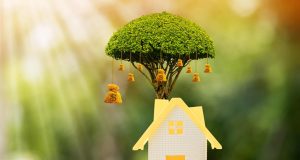 Videz votre maison cet été : vérifiez si votre assurance inclut cette clause cruciale découvrez comment protéger votre maison cet été avec notre assurance dédiée. profitez de conseils sur les garanties essentielles, découvrez des astuces pour sécuriser votre domicile durant la saison estivale, et choisissez la couverture qui vous convient le mieux.