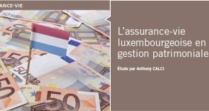 L’assurance vie luxembourgeoise : un nouvel allié pour optimiser votre stratégie patrimoniale découvrez comment l'assurance vie luxembourgeoise peut optimiser votre stratégie patrimoniale. profitez des avantages fiscaux et de la flexibilité qu'elle offre pour protéger et faire croître votre capital à long terme.