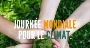 L’assurance carbone : de l’option souhaitable à l’indispensable dans les marchés du carbone, selon Artio découvrez pourquoi l'assurance carbone est devenue indispensable pour les entreprises soucieuses de compenser leurs émissions et sécuriser leur transition écologique.
