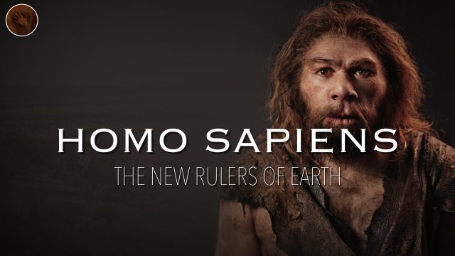 découvrez les détails du rachat de sapiens pour 2,5 milliards. analyse de l’opération, impacts sur le marché et perspectives pour les acteurs concernés.