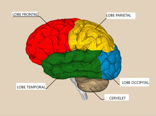 cerveau dédié pour l'assurance découvrez comment un cerveau dédié à l'assurance révolutionne la gestion des risques, optimise les processus et améliore l'expérience client grâce à l'intelligence artificielle et à l'automatisation dans le secteur de l'assurance.
