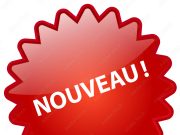 Arch Insurance Australia renforce son équipe avec l’arrivée d’un nouveau responsable du développement commercial découvrez la nomination du nouveau responsable du développement chez arch insurance en australie et son impact sur la stratégie de croissance de l’entreprise dans la région.