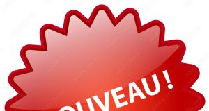 Arch Insurance Australia renforce son équipe avec l’arrivée d’un nouveau responsable du développement commercial découvrez la nomination du nouveau responsable du développement chez arch insurance en australie et son impact sur la stratégie de croissance de l’entreprise dans la région.