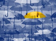 Assurances : les manadiers innovent pour surmonter leurs difficultés découvrez comment les manadiers innovent dans le secteur des assurances pour surmonter les défis actuels et protéger efficacement leur activité.