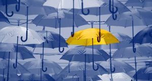 Assurances : les manadiers innovent pour surmonter leurs difficultés découvrez comment les manadiers innovent dans le secteur des assurances pour surmonter les défis actuels et protéger efficacement leur activité.