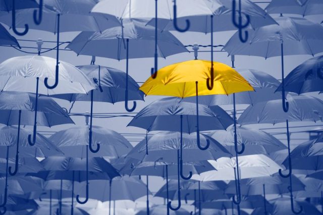 assurances : innovations des manadiers face aux difficultés découvrez comment les manadiers innovent dans le secteur des assurances pour surmonter les défis actuels et protéger efficacement leur activité.