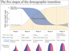 Une transition complète du bilan : Guide global pour synchroniser les portefeuilles de souscription et d’investissement des assureurs et réassureurs optimisez la transition bilan grâce à une synchronisation efficace des portefeuilles assureurs, garantissant précision et conformité dans la gestion des données financières.