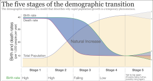 Une transition complète du bilan : Guide global pour synchroniser les portefeuilles de souscription et d’investissement des assureurs et réassureurs optimisez la transition bilan grâce à une synchronisation efficace des portefeuilles assureurs, garantissant précision et conformité dans la gestion des données financières.