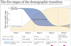 Une transition complète du bilan : Guide global pour synchroniser les portefeuilles de souscription et d’investissement des assureurs et réassureurs optimisez la transition bilan grâce à une synchronisation efficace des portefeuilles assureurs, garantissant précision et conformité dans la gestion des données financières.