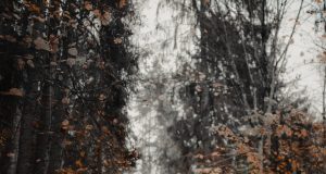 Assistance automobile : décryptage complet des garanties incluses dans votre contrat découvrez les garanties incluses dans votre contrat d'assistance auto pour une protection optimale en cas de panne ou d'accident. profitez d'une assistance rapide et efficace à tout moment.