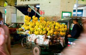 La FRA publie une politique modèle pour l’assurance de titres immobiliers en Égypte découvrez la politique modèle des assurances titres immobiliers en égypte, ses enjeux, régulations et avantages pour sécuriser vos biens immobiliers.