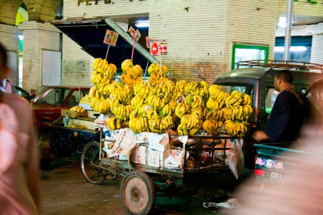 découvrez la politique modèle des assurances titres immobiliers en égypte, ses enjeux, régulations et avantages pour sécuriser vos biens immobiliers.