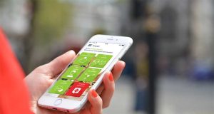 SantéVet, l’assurance animale française : un parcours réussi de la niche à la grande distribution découvrez comment santévet est devenu un leader dans l’assurance animale en france, offrant protection et sérénité aux propriétaires d’animaux.