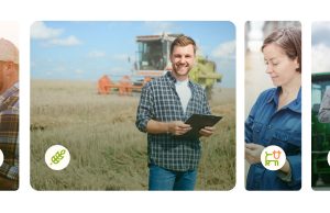 Une assurance innovante pour protéger la vigne contre le mildiou : vers une viticulture durable et sécurisée découvrez notre assurance innovante contre le mildiou, conçue pour protéger efficacement vos cultures et sécuriser votre récolte face aux risques climatiques.