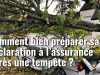 Tempête Goretti : que couvrent réellement les assurances face aux dégâts ? découvrez comment les assurances couvrent les dégâts causés par la tempête goretti et protégez votre patrimoine efficacement.