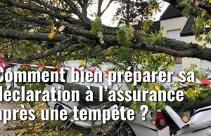 Tempête Goretti : que couvrent réellement les assurances face aux dégâts ? découvrez comment les assurances couvrent les dégâts causés par la tempête goretti et protégez votre patrimoine efficacement.