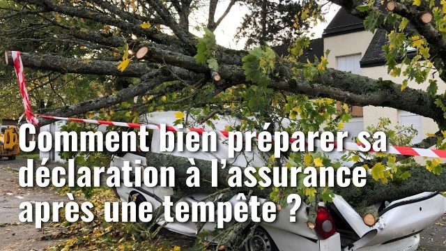 assurances et dĂ©gĂąts tempĂȘte goretti dĂ©couvrez comment les assurances couvrent les dĂ©gĂąts causĂ©s par la tempĂȘte goretti et protĂ©gez votre patrimoine efficacement.