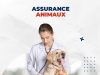 Pet Service Holding s’engage dans la distribution d’assurances dédiées aux animaux de compagnie découvrez notre service de distribution d'assurances pour animaux, offrant une protection complète et adaptée pour la santé et le bien-être de vos compagnons.