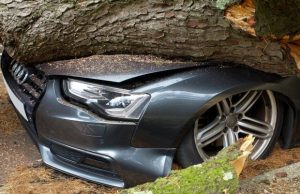 L’IA d’Insurify bouscule le marchĂ© de l’assurance tandis qu’Axa subit la plus forte chute du CAC 40 dĂ©couvrez comment insurify rĂ©volutionne le secteur de l'assurance, provoquant une chute significative d'axa au sein du cac40.