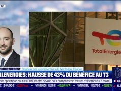 Life Insurance Corp. of India : un bénéfice en hausse au troisième trimestre, mais un BPA en dessous des prévisions life insurance corp. india enregistre une hausse de ses bénéfices au t3 malgré un bénéfice par action décevant, analysant les facteurs clés de cette performance.