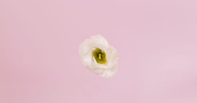 salarié jardinant en arrêt maladie : indemnités suspendues découvrez pourquoi les indemnités d'un salarié jardinant en arrêt maladie peuvent être suspendues et quelles sont les conditions applicables.