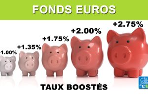 Assurance-vie : découvrez comment maximiser vos gains avec les fonds en euros les plus performants découvrez comment maximiser vos gains avec une assurance-vie investie dans des fonds en euros performants. optimisez votre épargne sécurisée grâce à nos conseils experts.